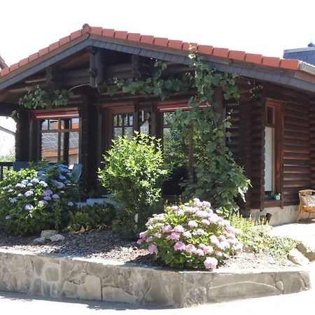 Ferienwohnung Blockhaus Juka Vinningen Esterno foto