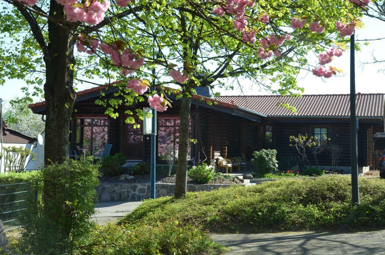 Ferienwohnung Blockhaus Juka Vinningen Esterno foto